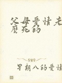 父母爱情老丁怎么死的