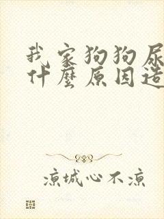 我家狗狗尿血是什么原因造成的