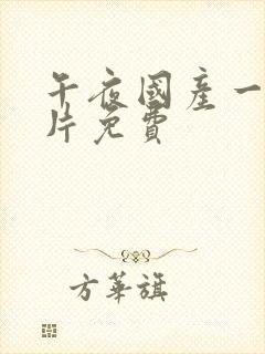 午夜国产一级r片免费