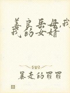 善良岳母,我爱我的女婿封面