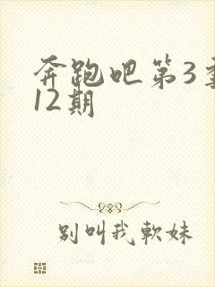 奔跑吧第3季第12期封面