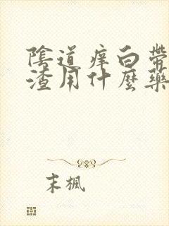 阴道痒白带豆腐渣用什么药