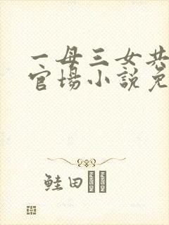 一母三女共一婿官场小说免费阅读封面