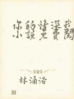 你的情深我不配小说免费阅读无弹窗封面