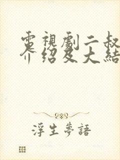 电视剧二叔剧情介绍及大结局封面