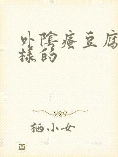 外阴瘙豆腐渣一样的