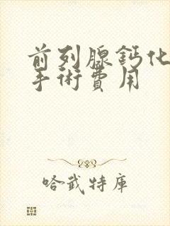 前列腺钙化灶的手术费用