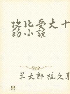 攻比受大十几岁的小说