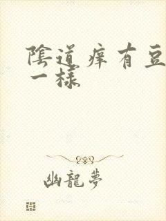 阴道痒有豆腐渣一样