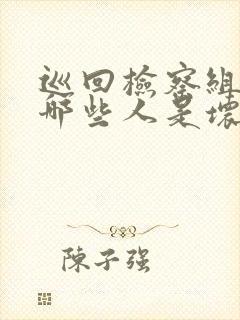 巡回检察组里面哪些人是坏人