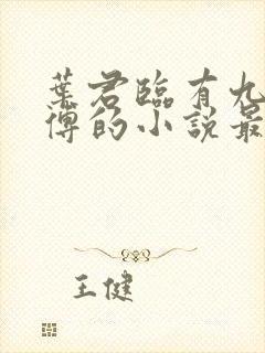 叶君临有九个师傅的小说最新章节