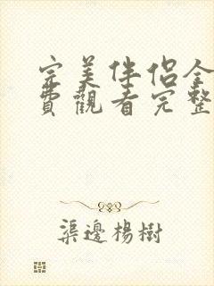 完美伴侣全集免费观看完整版