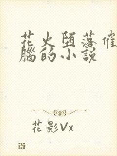 花火堕落催眠洗脑的小说