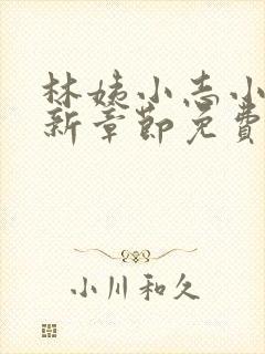 林姨小志小说最新章节免费阅读封面