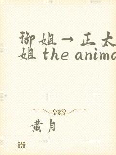 御姐→正太←御姐 the animation》