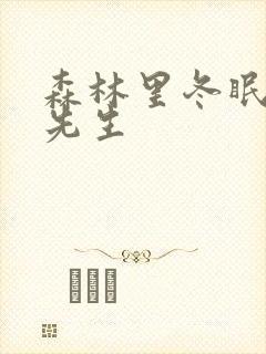 森林里冬眠的熊先生