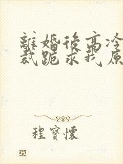 离婚后高冷女总裁跪求我原谅全文免费封面