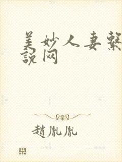 美妙人妻系列小说网
