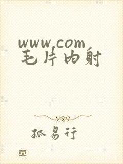 www.com毛片内射封面