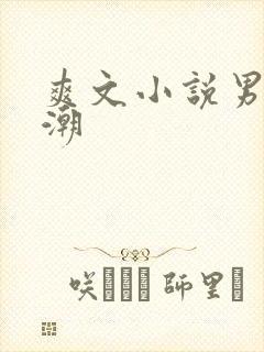 爽文小说男女高潮封面