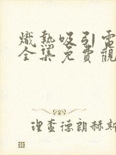 炽热吸引电视剧全集免费观看14集