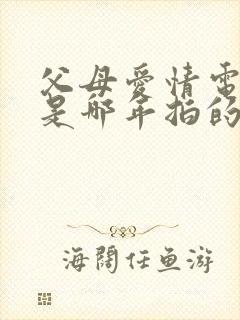 父母爱情电视剧是哪年拍的