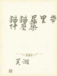 猫猫尿里带血吃什么药