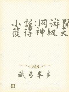 小说:网游开局获得神级天赋