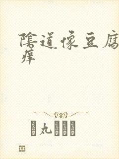 阴道像豆腐渣还痒