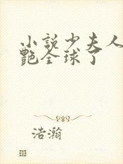 小说少夫人她惊艳全球了