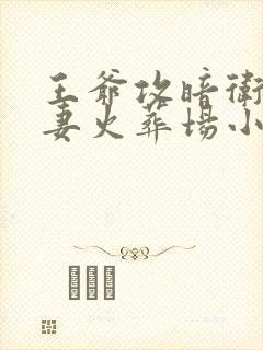 王爷攻暗卫受追妻火葬场小说推荐