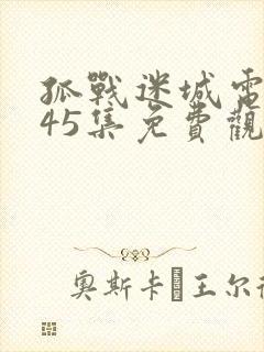 孤战迷城电视剧45集免费观看