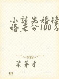 小说先婚后爱闪婚老公100分最新章节