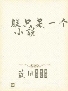 朕只是一个演员 小说