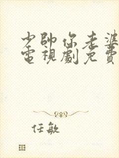 少帅你老婆又跑电视剧免费观看