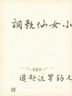 调教仙女小说封面