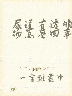 尿道有透明分泌物怎么回事封面