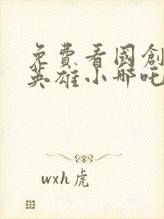 免费看国创少年英雄小哪吒完整版