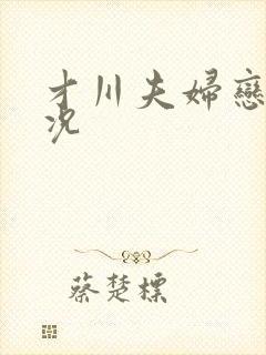 才川夫妇恋爱情况封面