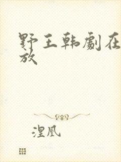 野王韩剧在线播放