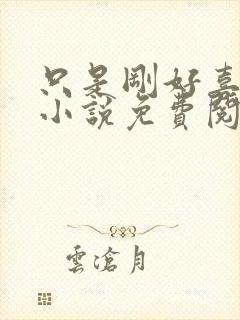 只是刚好喜欢你小说免费阅读全文