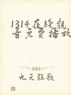 1314在线观看免费播放电视剧1314影院