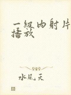 一级内射片在线播放