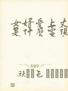 女婿爱上丈母娘是什么电视剧啊封面
