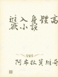 进入身体高潮情欲小说