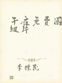 午夜免费国产一级片