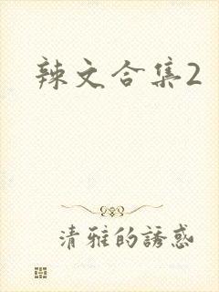 辣文合集2封面