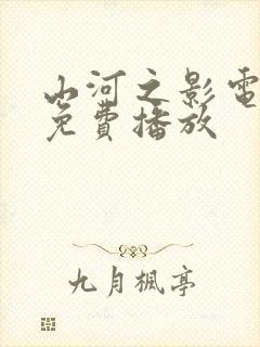 山河之影电视剧免费播放封面