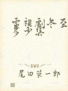 电视剧冬至一共多少集