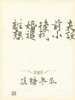 离婚后前夫总是想追我小说在线阅读